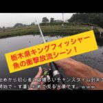 初めてのトラウト釣り！「管理釣り場」栃木県キングフィッシャー。