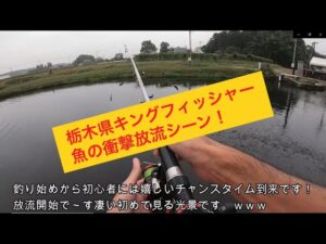 初めてのトラウト釣り！「管理釣り場」栃木県キングフィッシャー。
