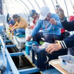 諏訪湖のワカサギ釣り好調　ベテランは１日千匹超