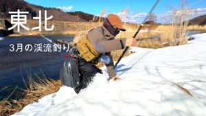 なんとか解禁しました【東北の渓流釣り】