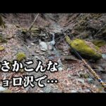 大きな滝を超えたその先には、チョロ沢が待ち受けていました【悪趣味な竿で渓流釣り】