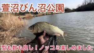 萱沼びん沼公園でへらぶなノッコミ釣り!型も良く数もでてて楽しめました!ピクニックしたいw
