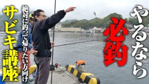 これが絶対に釣って帰りたい時のサビキ釣り。安定感ならマジで一択、1年通しておすすめできます。