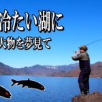 ここだけに棲む大物を…。絶景の湖で1日過ごした結果僕たちは！