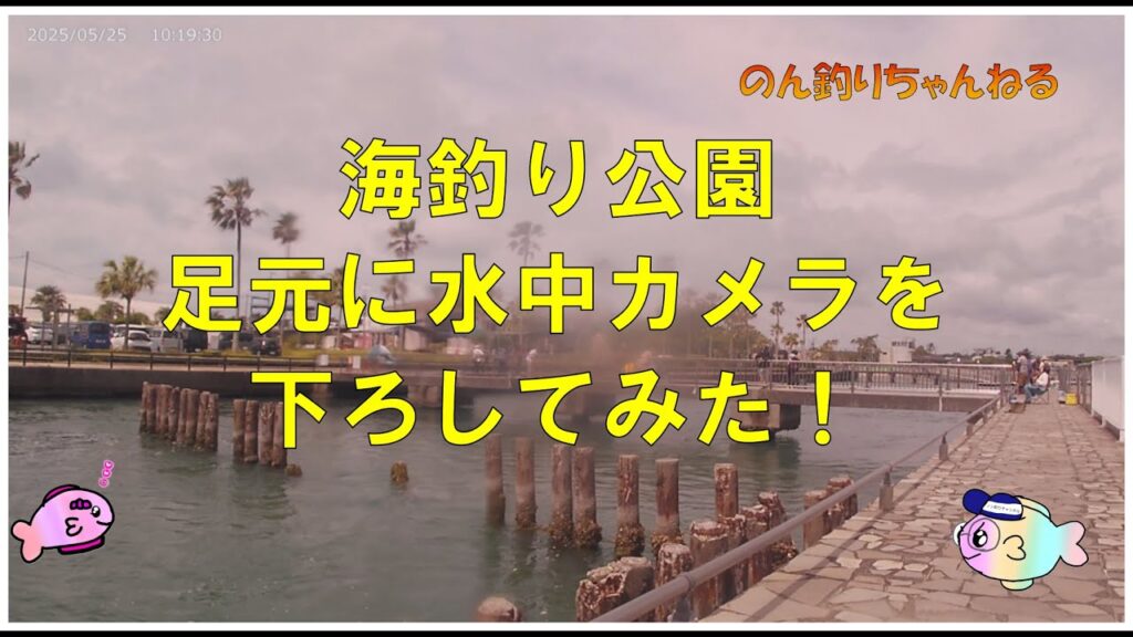 【浜名湖　釣り】水中にカメラを下ろしてみた　海釣り公園　1番堤防