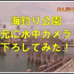 【浜名湖　釣り】水中にカメラを下ろしてみた　海釣り公園　1番堤防