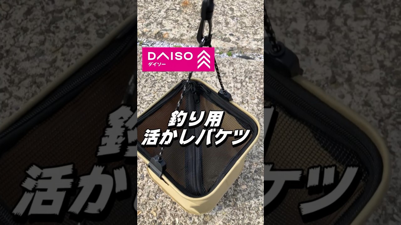 【100均釣り具】Daiso釣り用活かしバケツ ダイソー #ダイソー