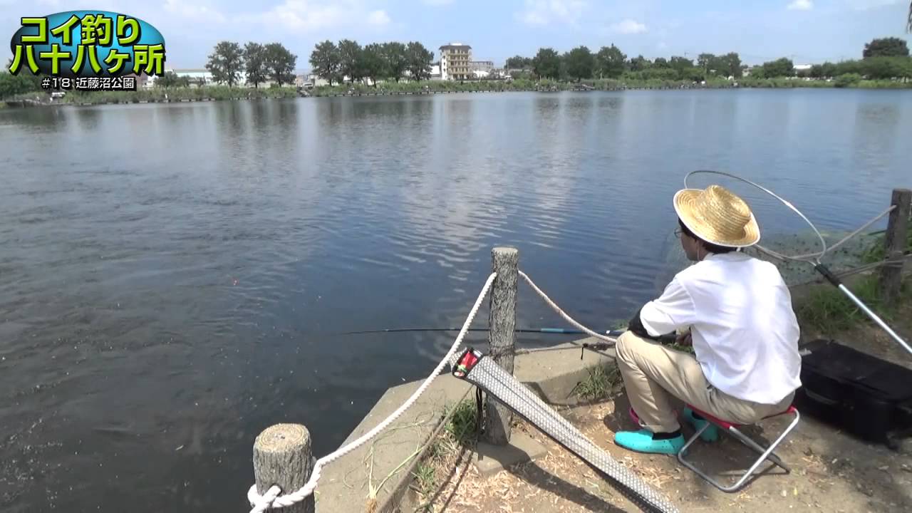 コイ釣り八十八ヶ所　#18：群馬県・近藤沼公園