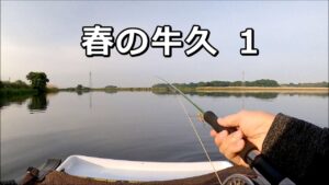 【水温たぶん18～19℃】春の牛久沼フライでバス釣り（１）
