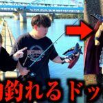 ドブ川で釣りしてたら自分の1番の宝物釣れるドッキリwww