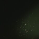 別所沼釣り映像2018.8.18.19.58