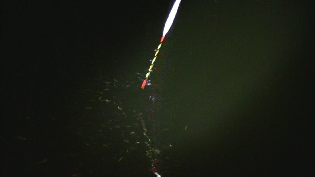 別所沼釣り映像2018.8.18.20.48