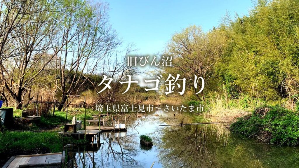 【小物釣り】埼玉県 荒川水系 旧びん沼でタナゴ釣り 2021年