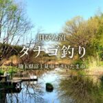 【小物釣り】埼玉県 荒川水系 旧びん沼でタナゴ釣り 2021年