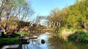 【小物釣り】埼玉県 荒川水系 旧びん沼でタナゴ釣り 2021年