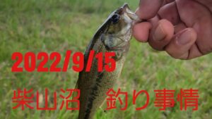 柴山沼釣り事情/2022.9.15