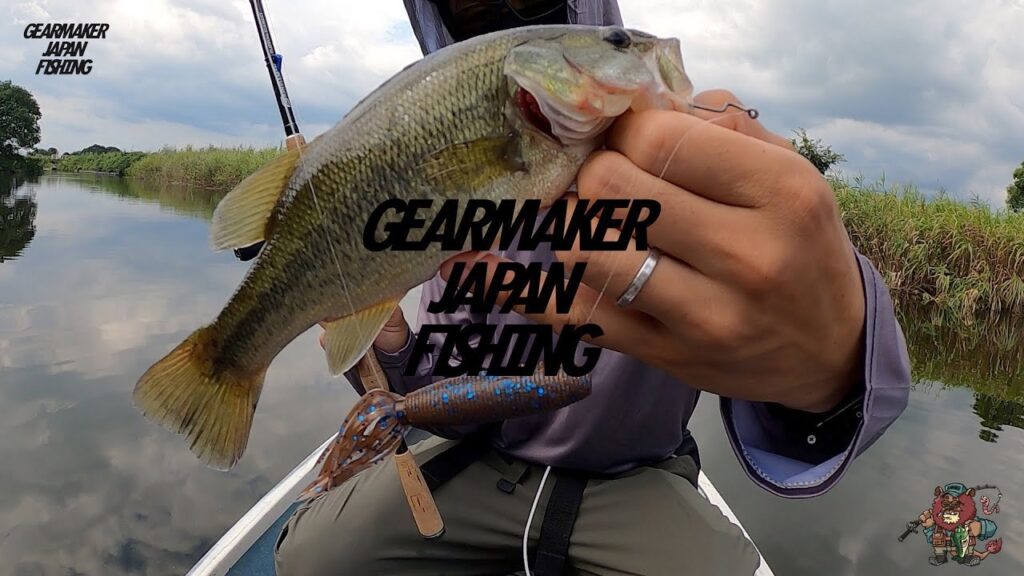 【多々良沼】 バス釣り 2022年9月上旬