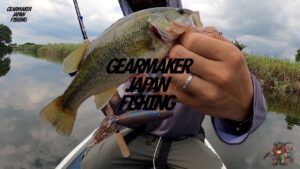 【多々良沼】 バス釣り 2022年9月上旬