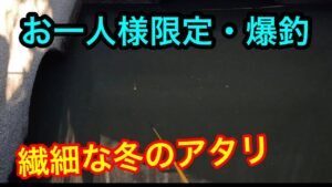 2023.12.2水路で釣りしてみた。#柴山沼