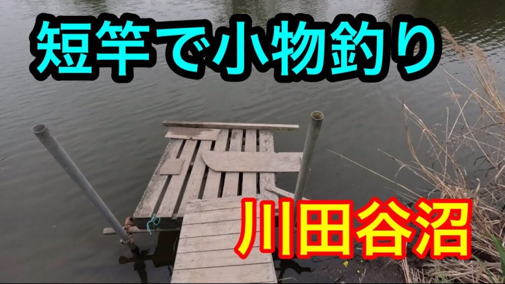 短竿で小物釣り【川田谷沼】2024.4.18