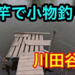 短竿で小物釣り【川田谷沼】2024.4.18