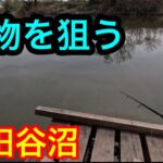 台座下の大物を狙う【川田谷飛行場沼】2024.4.7