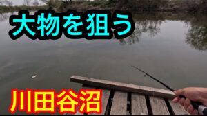 台座下の大物を狙う【川田谷飛行場沼】2024.4.7
