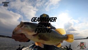 【多々良沼】 バス釣り 2024年11月上旬 　クリッターホッグ