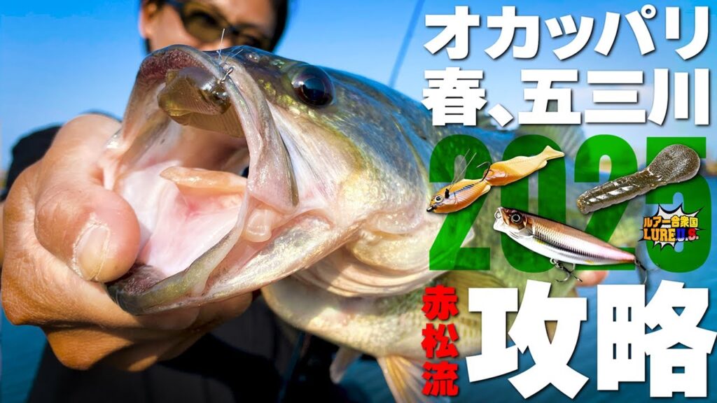 【オカッパリ】赤松健 / 2025春の五三川を攻略【ルアー合衆国】
