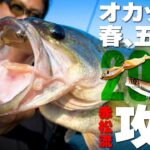 【オカッパリ】赤松健 / 2025春の五三川を攻略【ルアー合衆国】