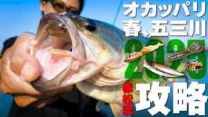 【オカッパリ】赤松健 / 2025春の五三川を攻略【ルアー合衆国】
