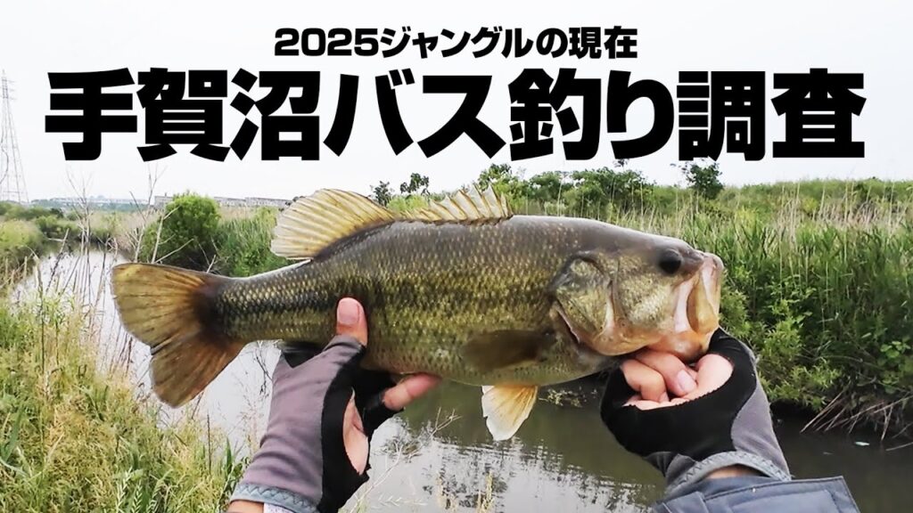 2025ジャングルの現在～手賀沼バス釣り調査
