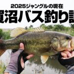 2025ジャングルの現在～手賀沼バス釣り調査