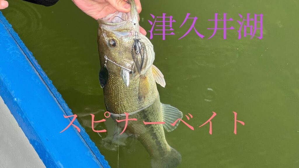 【津久井湖】【バス釣り】2025-#3