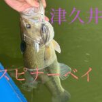 【津久井湖】【バス釣り】2025-#3