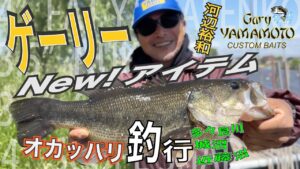 2025年ゲーリーヤマモト新製品で河辺裕和が舘林三沼に挑む！