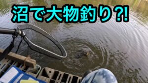 「沼で大物釣り」2025.4.19