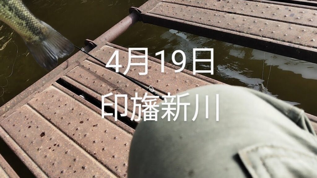 印旛沼水系　印旛新川バス釣り2025.4.19