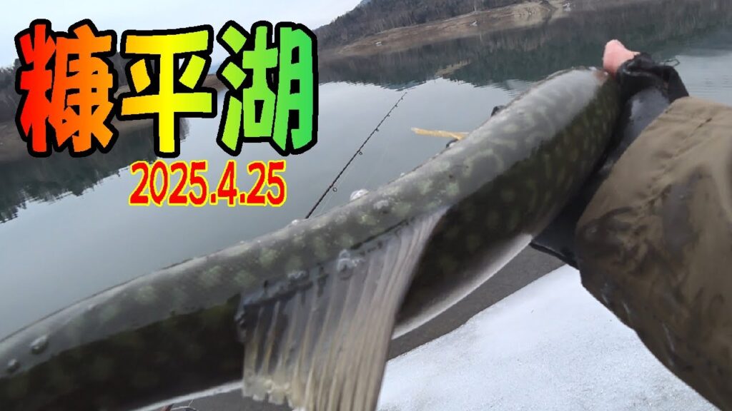 2025.4.25　糠平湖のルアーフィッシング　つり部会ガイドサービス　北海道十勝の釣り
