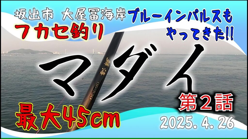 チヌ フカセ釣り 坂出市 大屋冨海岸 2025.4.26 第2話