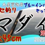 チヌ フカセ釣り 坂出市 大屋冨海岸 2025.4.26 第2話