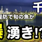 千葉の人気堤防で“旬の魚”が爆湧き!?釣れすぎ注意…2025.5