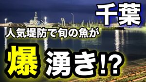 千葉の人気堤防で“旬の魚”が爆湧き!?釣れすぎ注意…2025.5