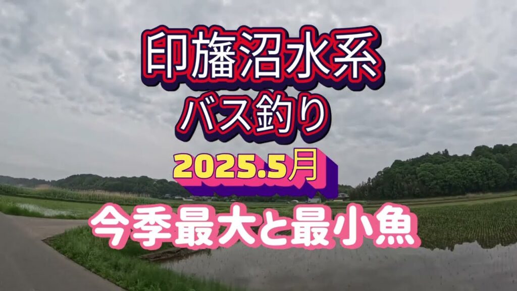 2025.5月【印旛沼水系バス釣り】今季最大と最小魚の巻