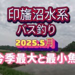 2025.5月【印旛沼水系バス釣り】今季最大と最小魚の巻