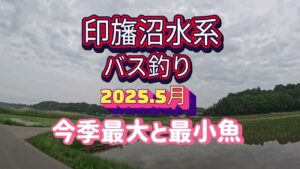 2025.5月【印旛沼水系バス釣り】今季最大と最小魚の巻