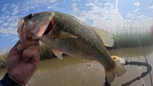 2025.5月【印旛沼水系バス釣り】代掻き濁りを攻略せよ😂