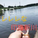 印旛沼水系　印旛新川バス釣り　サンカクコティーサン2025.5.11