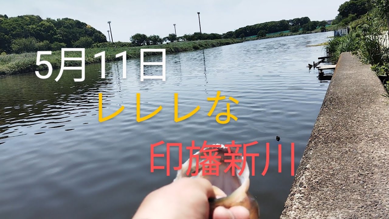 印旛沼水系　印旛新川バス釣り　サンカクコティーサン2025.5.11