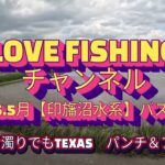 2025.5月【印旛沼水系バス釣り】代掻き濁りの中、KEEP　TEXASフリップ＆パンチ